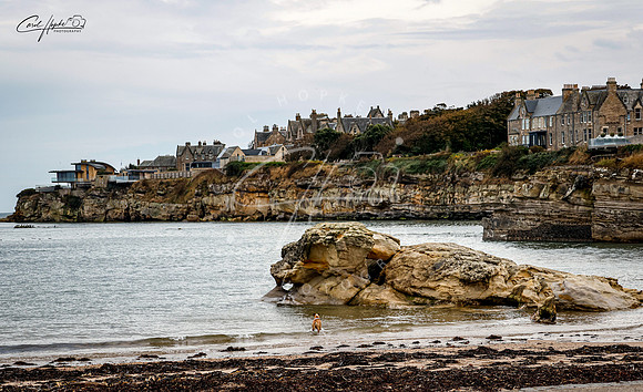 St. Andrews - Scotland