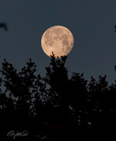 Full Moon - 4 - Jan 2025