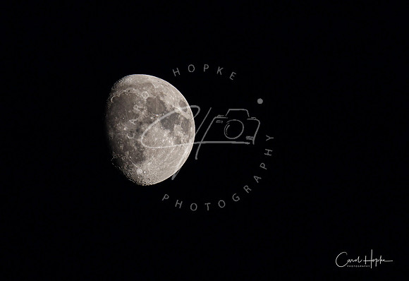 First shot with Canon R7 Mirrorless