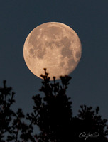 Full Moon - 5 - Jan 2025