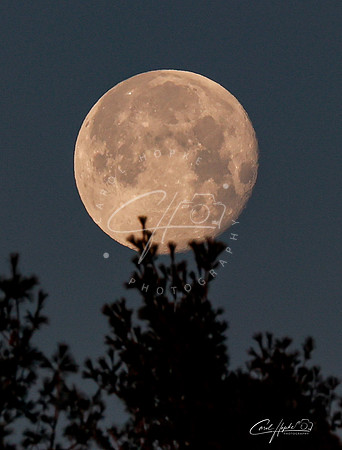 Full Moon - 5 - Jan 2025