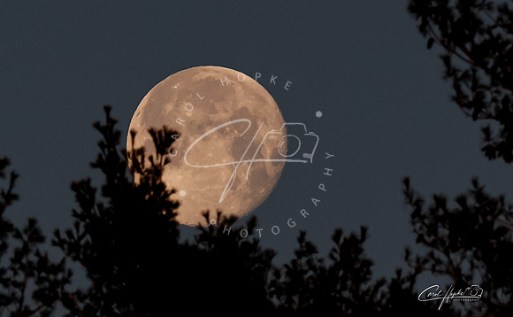 Full Moon - 6 - Jan 2025