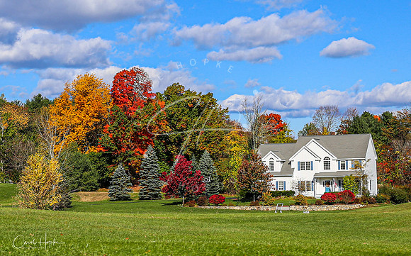 Hollis NH 2021