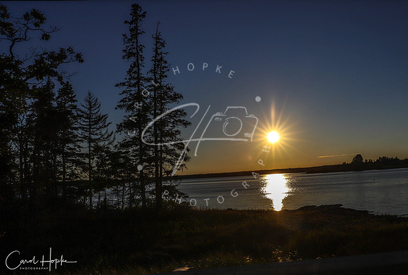 Bar Harbor, ME