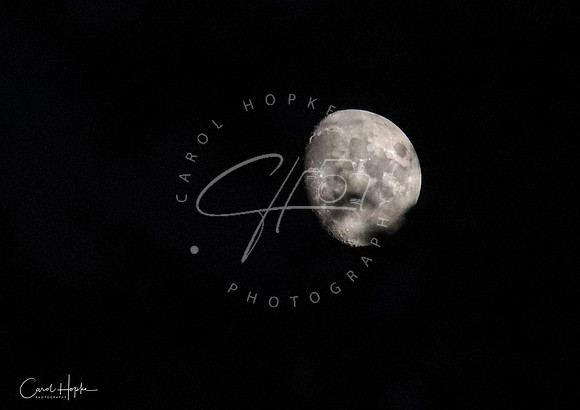 The night before the full moon