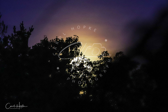 The glow of the rising full moon