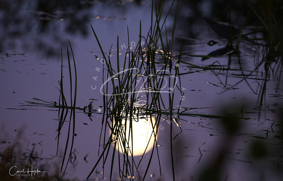 Moon over New Hampshire 2