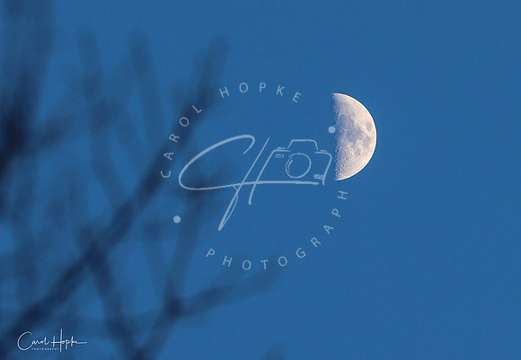 Bright spot in a spotless sky