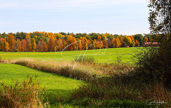 Fall in New England 2020-1