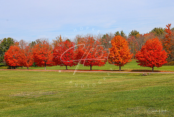 Fall in New England 2020-4