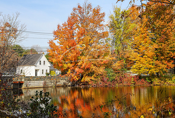 Fall in New England 2020-3