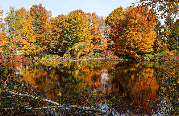 Fall in New England 2020-2