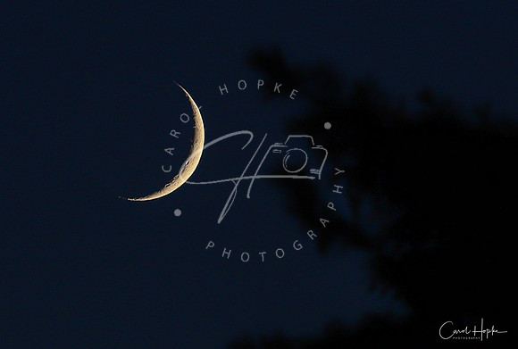 The "Chesh" moon