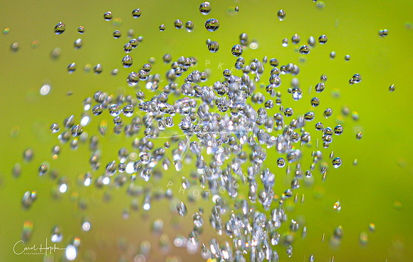 Sparkling water