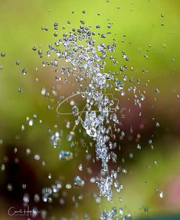 Fountain delight