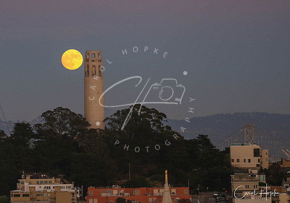 Super moon over Coit Tower - San Francisco
