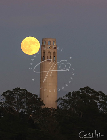 Super moon over Coit Tower - San Francisco