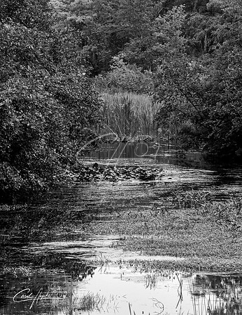 Nashua, NH b&w