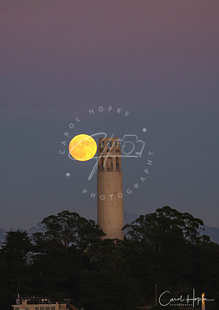 Super moon over Coit Tower - San Francisco