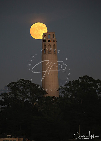Super moon over Coit Tower - San Francisco