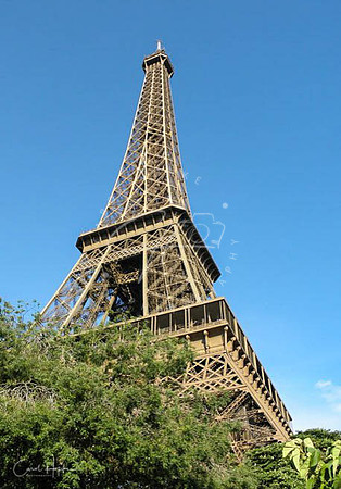 Eiffel Tower - Paris
