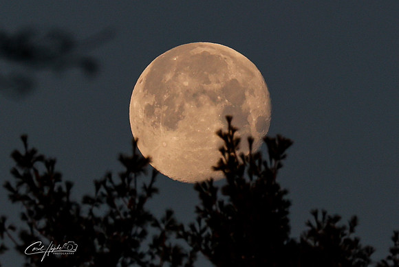 Full Moon - 3 - Jan 2025