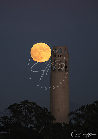 Super moon over Coit Tower - San Francisco